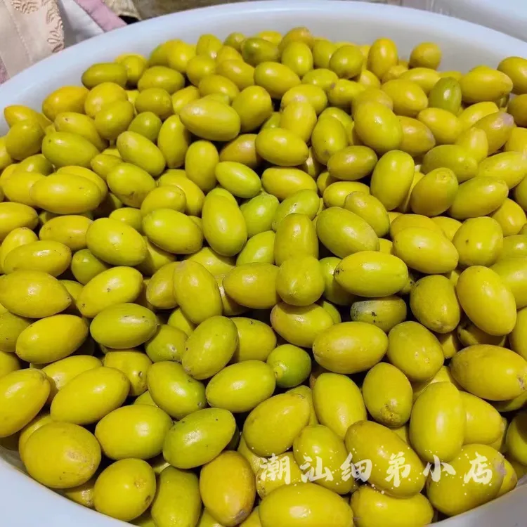 正宗潮汕老丛三捻橄榄  酥甘香无渣不甜  现摘一斤起
