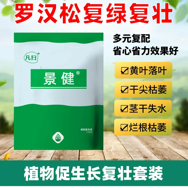 罗汉松复绿复壮罗汉松营养液防黄叶枯萎烂根干枝长势弱一喷绿肥