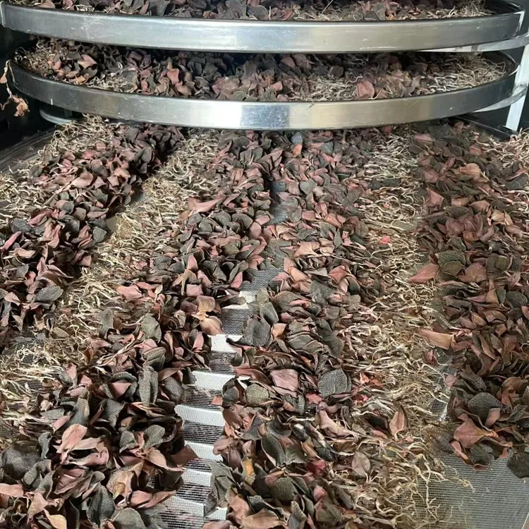 佛冈时时好运农产品种植红霞金线莲500克整株干品