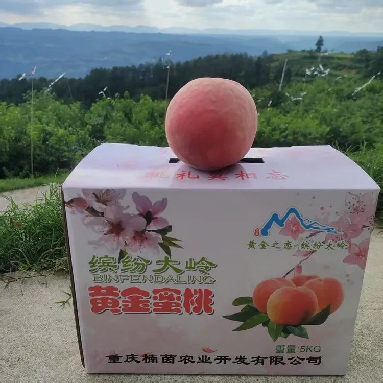 正宗产地直发新鲜现摘香甜多汁水蜜桃应季水果【中大果十斤装】