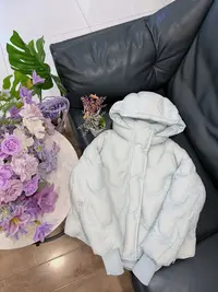 女款连帽修身型保暖宽松常规短款羽绒服6253