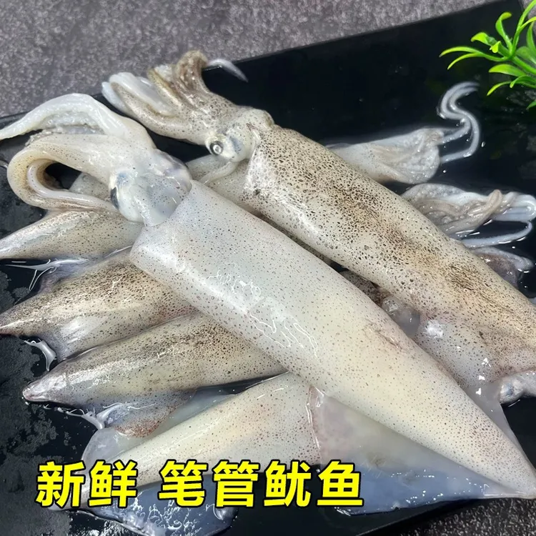 海捕笔管小鱿鱼4斤/份.净重发货不包冰衣不泡水.发顺丰