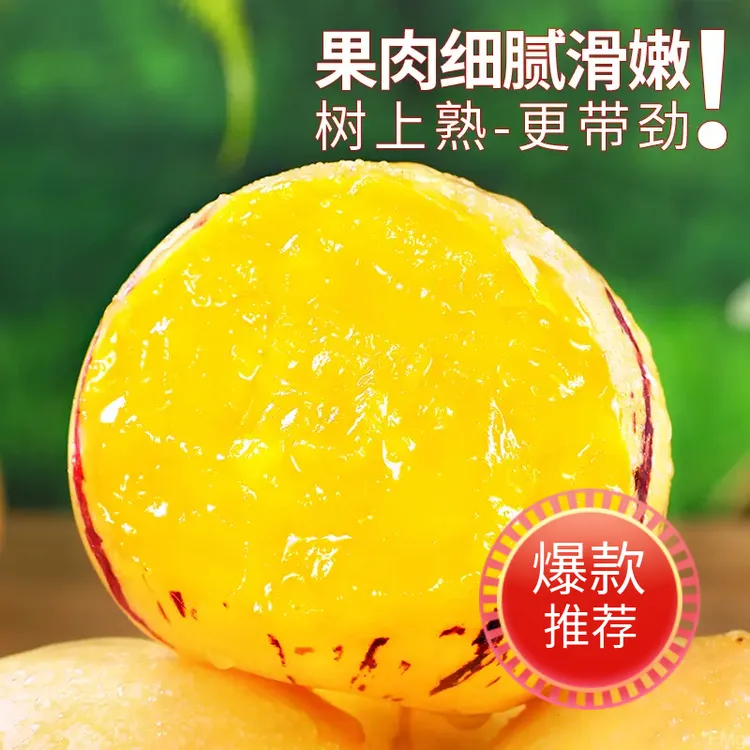 【新鲜】云南石林人参果3/5/9斤圆果应季采摘皮薄水果整箱黄心大果