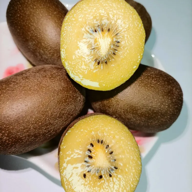 木一胡氏家庭农场精品黄心猕猴桃当季新鲜水果香甜多汁现摘现发