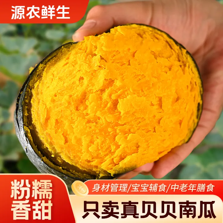 贝贝南瓜4.5斤宝宝辅食粉糯香面板栗味小南瓜