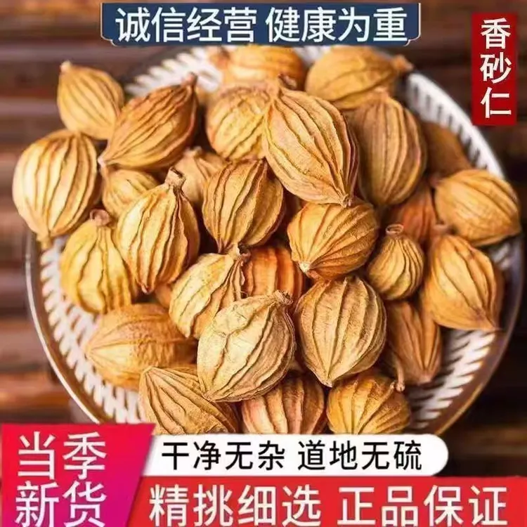 正品四川香砂仁香砂优质川砂新货香砂砂仁卤肉炖肉调料香料无硫