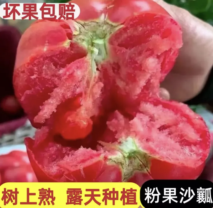 露天种植沙瓤西红柿自然熟酸甜多汁应季新鲜可生吃3-5斤 坏果包赔商品图