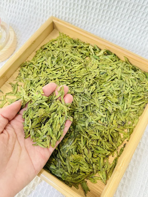 2025年新茶乌牛早扁茶绿茶清香鲜爽