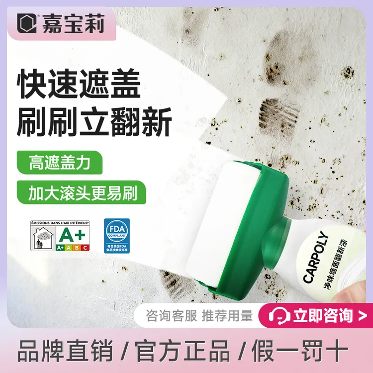 嘉宝莉墙面翻新大滚筒刷乳胶漆补墙大滚轮补墙膏修复去污遮盖