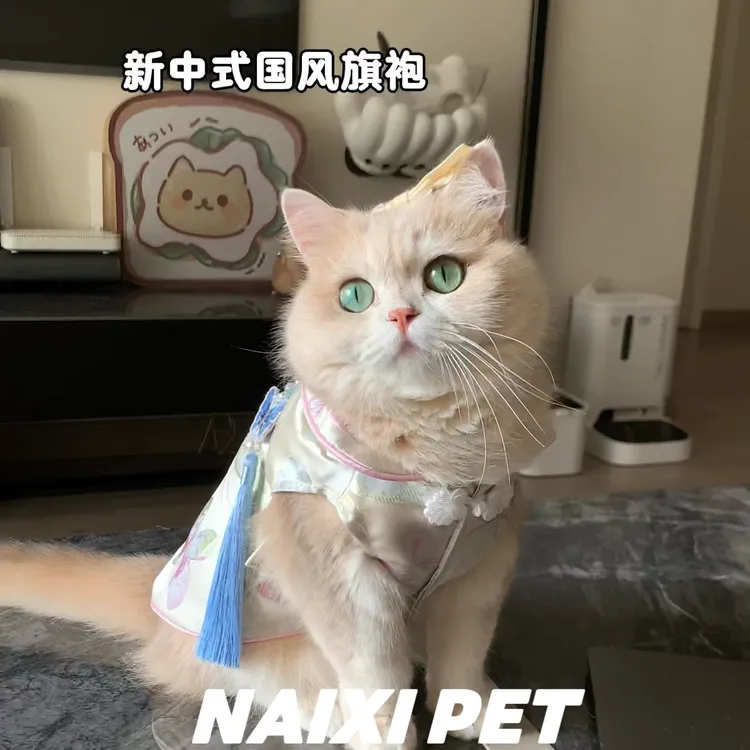 宠物猫咪狗狗新中式蝴蝶旗袍国风唐装可爱衣服金渐层比熊猫咪狗狗