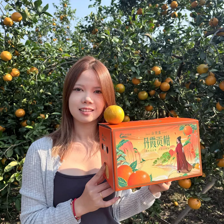 粤北阿伟严选 广东仁化丹霞贡柑丨皇帝柑 清甜爽口