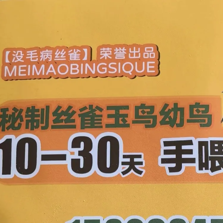 丝雀，玉鸟10-30天手喂食