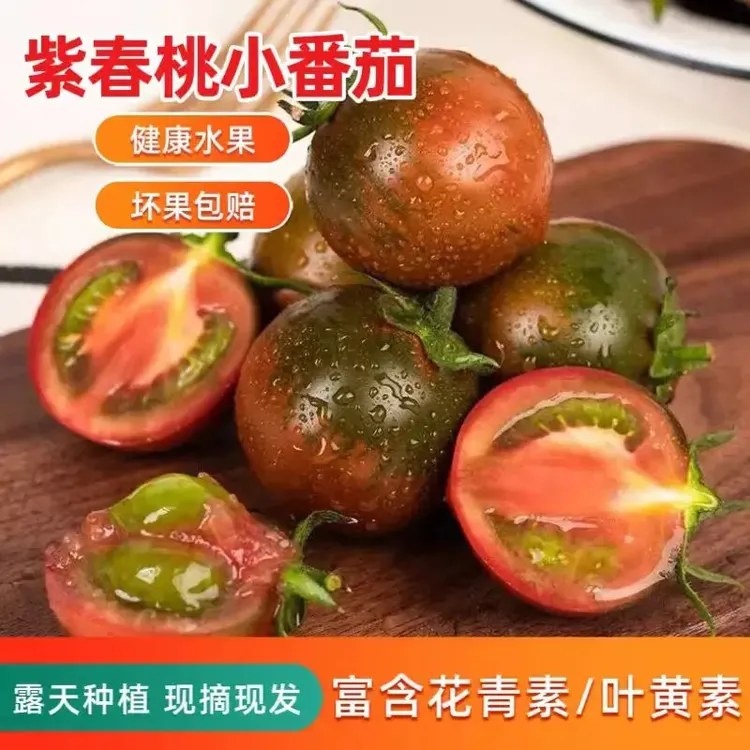 紫宝石小番茄紫春桃巧克力西红柿子孕妇新鲜健康水果农场现摘现发商品图
