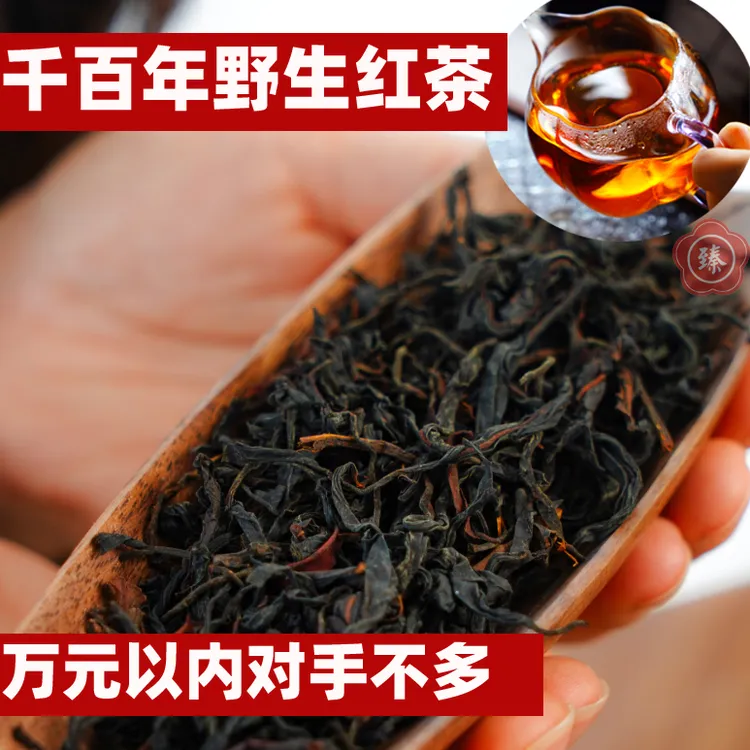 千岁红.野生古树红茶纯料2025】热销!!!森林花果香 蜜甜野韵
