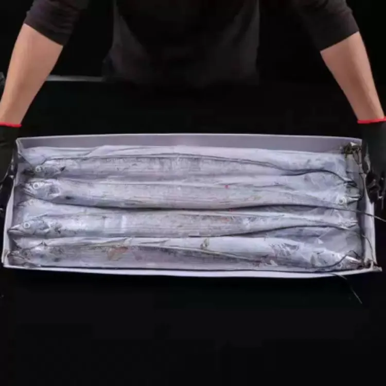 【哈特火】带鱼10斤装