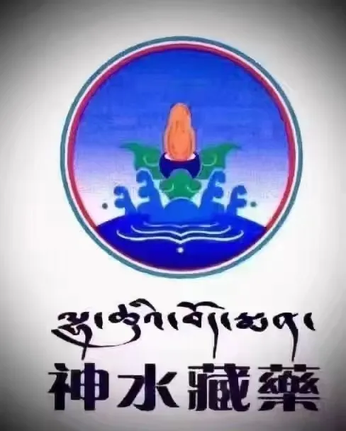 定制不干胶贴纸透明标签广告印刷防水二维码设计