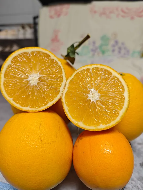 正宗赣南脐橙新鲜采摘应季孕妇水果江西脐橙自家果园橙子现摘现发