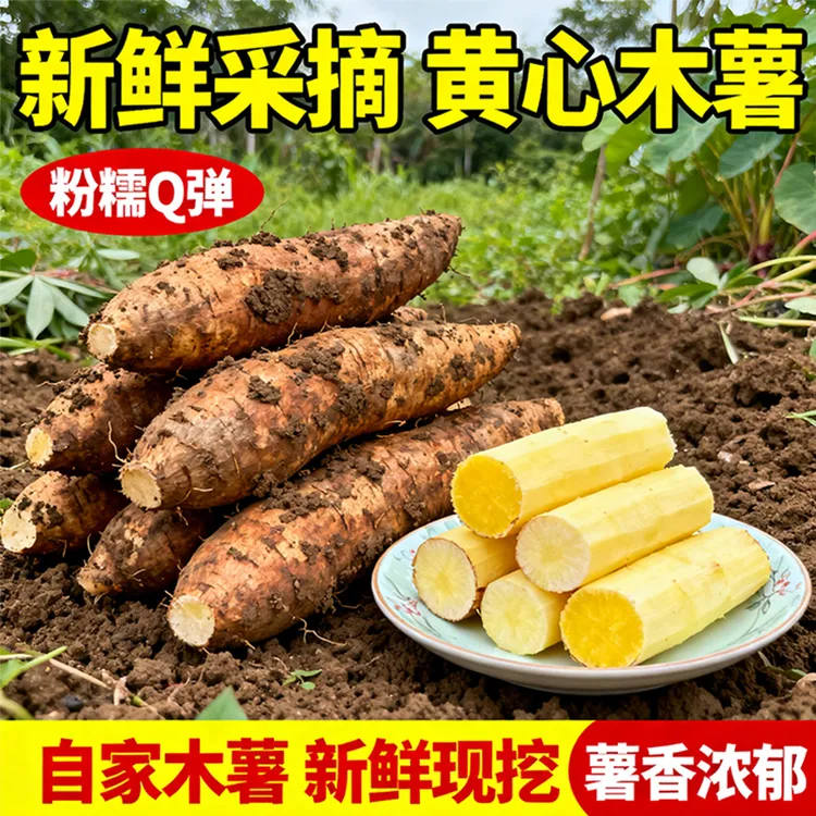广西新鲜现挖黄心木薯粉糯香甜糖水店同款