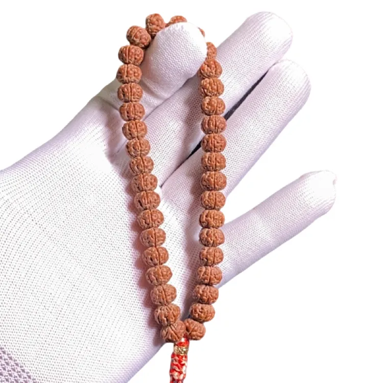 订制级老树王头货尺寸9.5装高差2.8原皮原色平头平尾支持下水验货