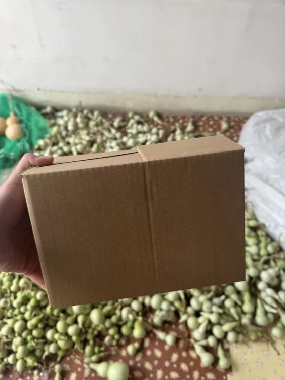 天然天津嘴/八宝葫芦可盘玩适合手把件，默认微瑕