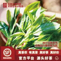 编码CN35-1/冰岛地界-2025年-散茶-古树-春茶-生茶