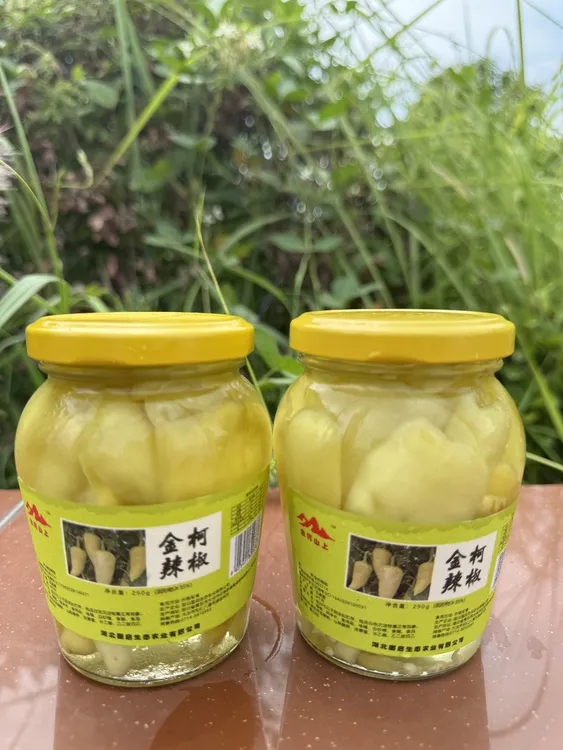 恋乡味道【两瓶金柯辣椒（小）】湖北大冶黄金湖腌菜国启腌辣椒