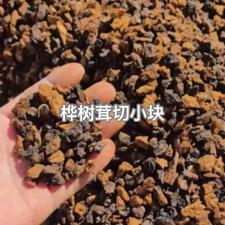 桦树茸野长白山精选白桦树茸桦褐孔菌净重250克泡水泡酒可配枸杞