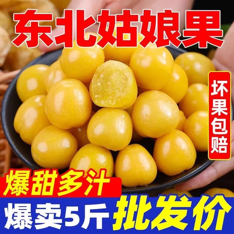 东北姑娘果新鲜当季水果清甜多汁灯笼果