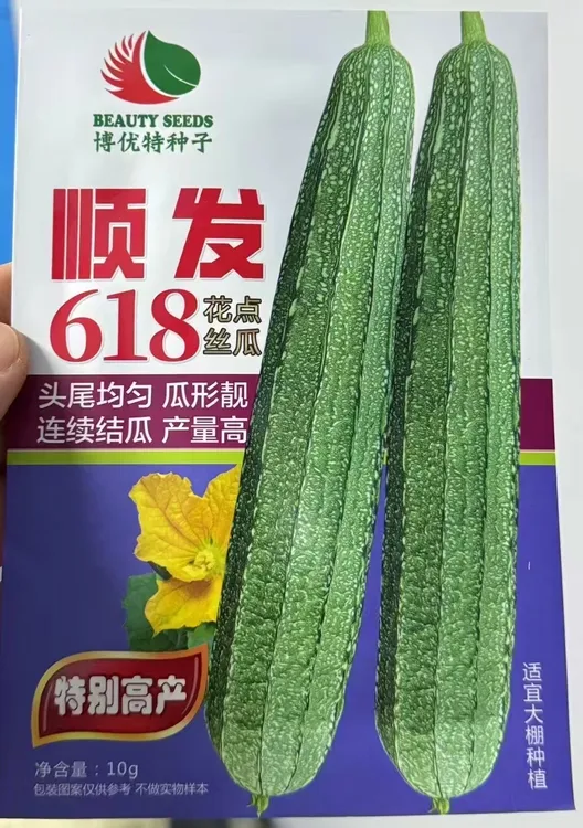 耐寒顺发618丝瓜种子，20几天来瓜，节节有瓜，瓜长30到40cm