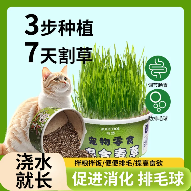 懒人猫草兔草麦草种子猫咪必吃助排毛球浇水种植简单清口气促消化
