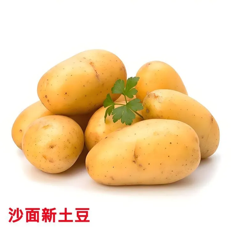 【小美专属】正宗黄皮黄土豆农家高山种植新鲜当季蔬菜粉糯沙面洋芋
