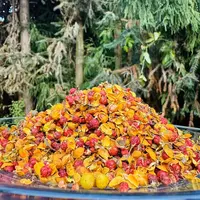 1【南-蛇-藤-果】净含量250g【阿虎现收】