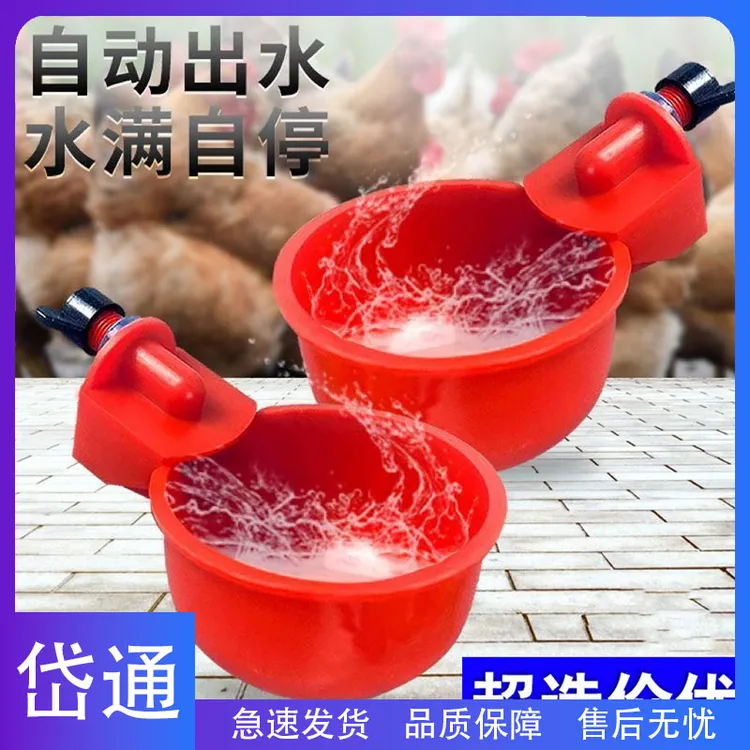 岱通家禽自动鸡养殖饮水碗鸡鸭鹅自动喂水器鸽用饮水器喝水碗喂鸡