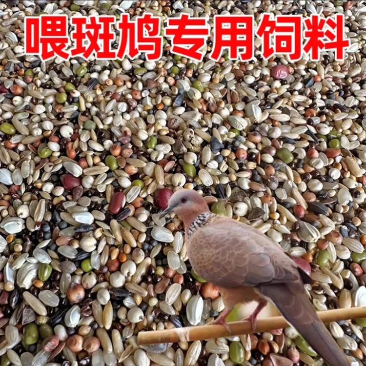斑鸠饲料鸽粮鸽子饲料食物营养幼鸽信鸽赛鸽粮天然五谷杂粮鸟专用
