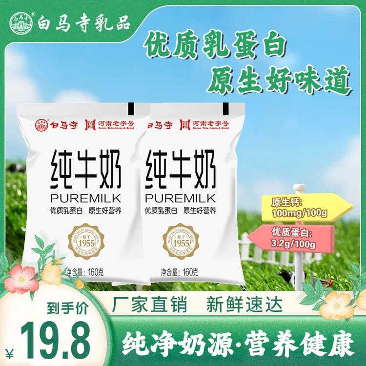 白马寺 【中秋好物】工厂直发160g*10袋装纯牛奶优质乳蛋白早餐奶