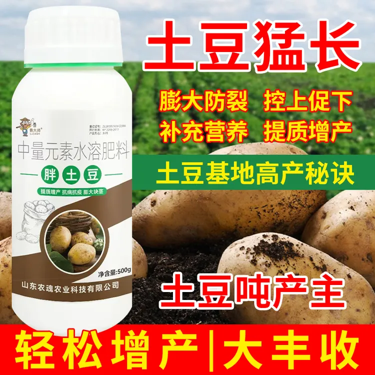 鲁大师胖土豆叶面滴灌膨大果实提质增产生根壮苗中量元素水溶肥料