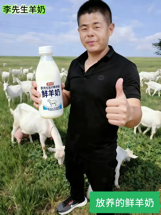 巴氏灭菌羊奶顺丰包邮每天放养羊奶零添加牧场直供老人小孩孕妈