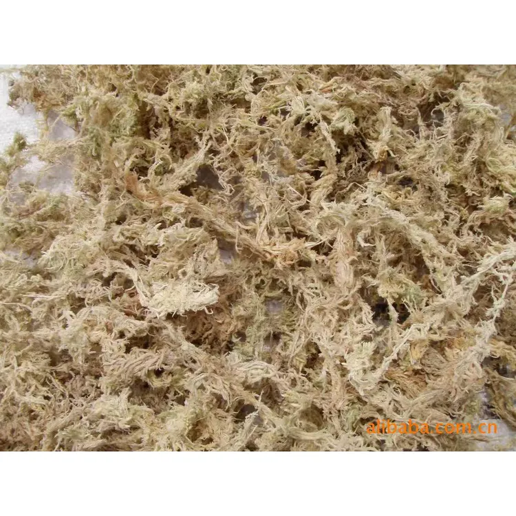 干货海花草，适合做植物保水培养土，也可以用来泡脚，遇水潮湿就活。