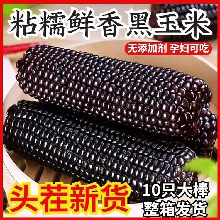 试吃两支【整箱10根6斤左右】黑糯玉米香甜粘糯口感代餐粗粮早餐