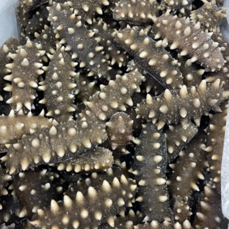 长海县深水海货即食海参