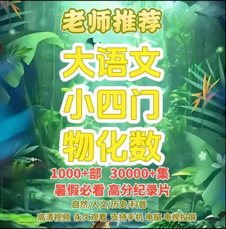 【老师推荐】高分小初高小四门纪录片早教逻辑训练思维教具