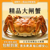 【活蟹现发】苏州精品大闸蟹公4只母4只4.4-4.0两拍6送2共8只【W】