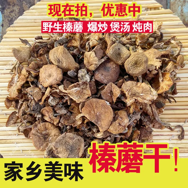 【一斤装】榛蘑野生榛蘑 承德本地榛蘑卤汤爆炒炖鸡蘑菇食用菌干货