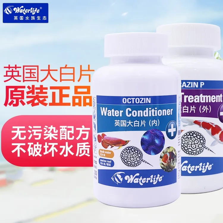 waterlife英国正品大白片金龙鱼魟锦鲤兰寿泰狮