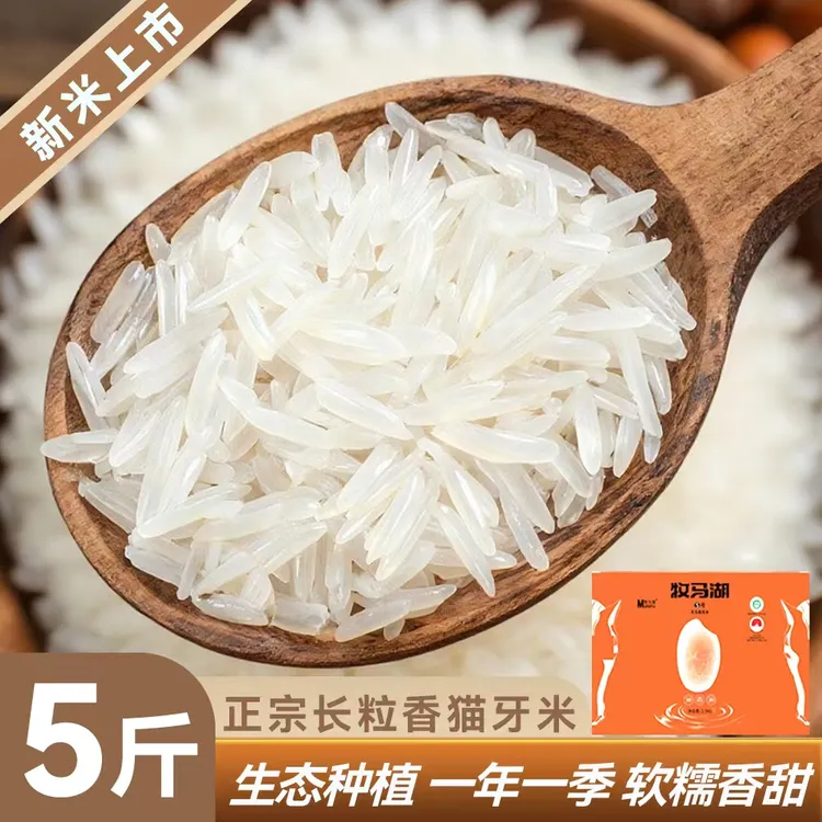 牧马湖天马香贡米5斤（支持试吃）长粒香猫牙米丝苗米软糯优质大米