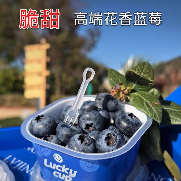 快乐杯蓝莓(坏果包赔)