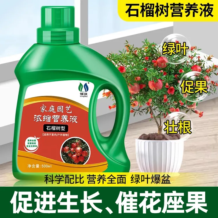 石榴树营养液石榴专用肥料水溶肥果树复合家用盆栽开花结果通用型