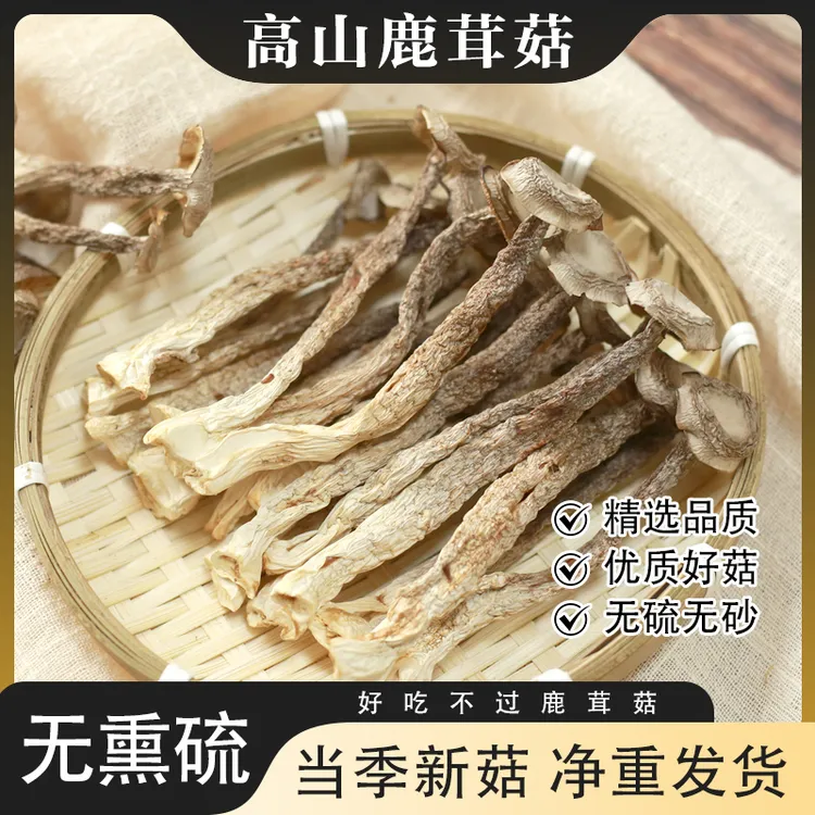 【高山鹿茸菇】精品头茬新菇到手100g*3袋农家特产干货炒菜煲汤