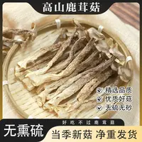 【高山鹿茸菇】头茬新菇到手50g*5袋(试吃1袋)农家特产干货炒菜煲汤