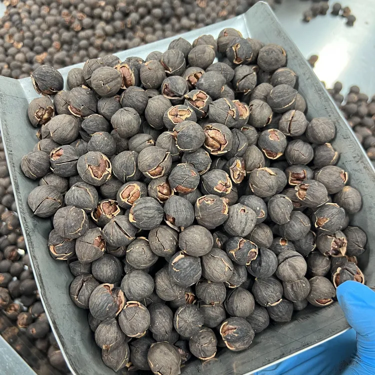 新货水煮奶油椒盐临安山核桃原味坚果炒货特产大颗粒手剥大籽零食